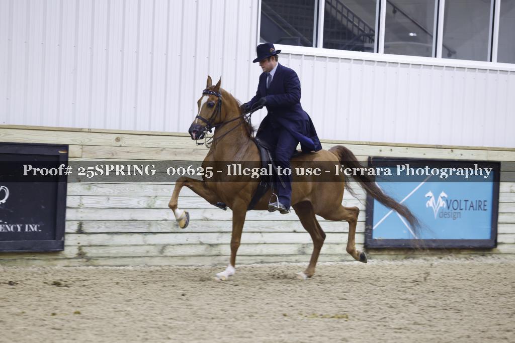 Proof 25SPRING_00625