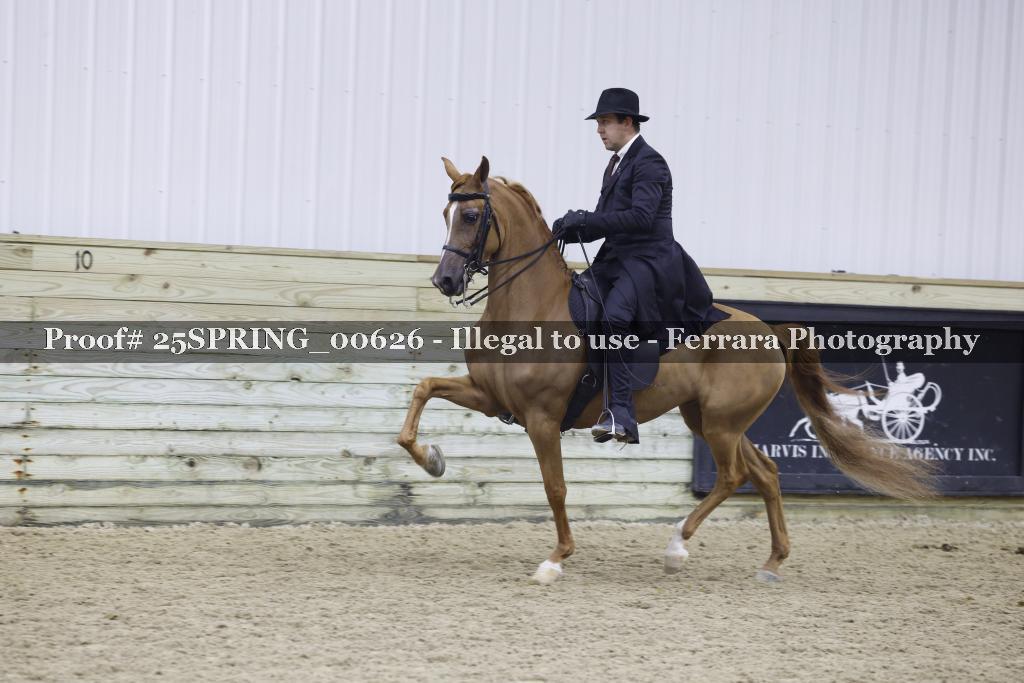 Proof 25SPRING_00626