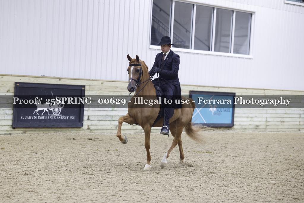 Proof 25SPRING_00629