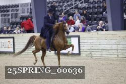 25SPRING_00636 proof