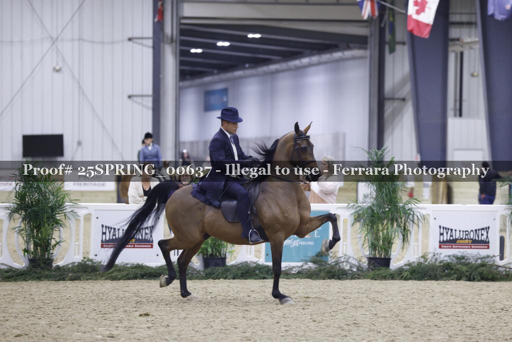 Proof 25SPRING_00637