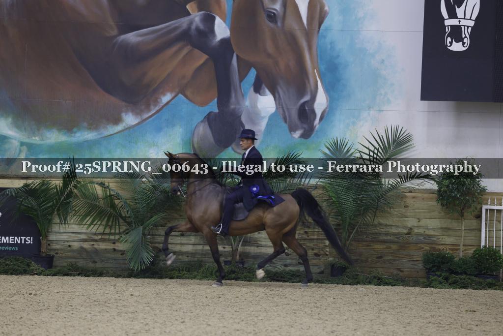 Proof 25SPRING_00643