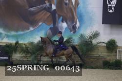25SPRING_00643 proof