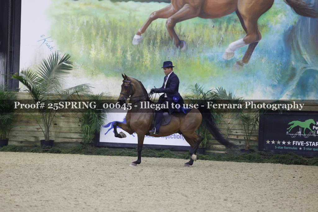Proof 25SPRING_00645