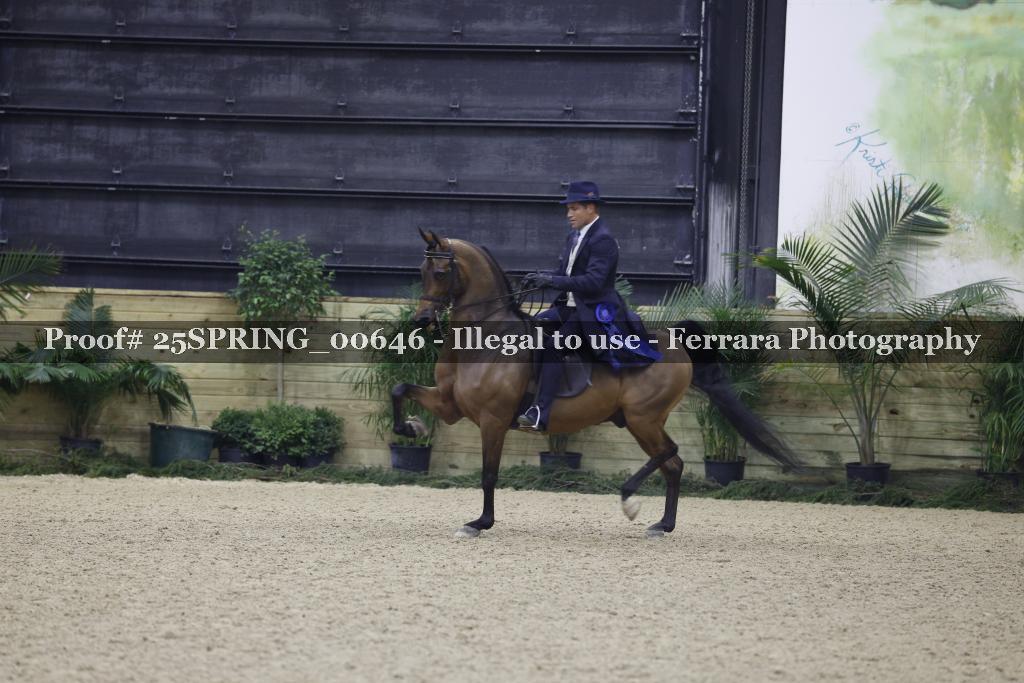Proof 25SPRING_00646
