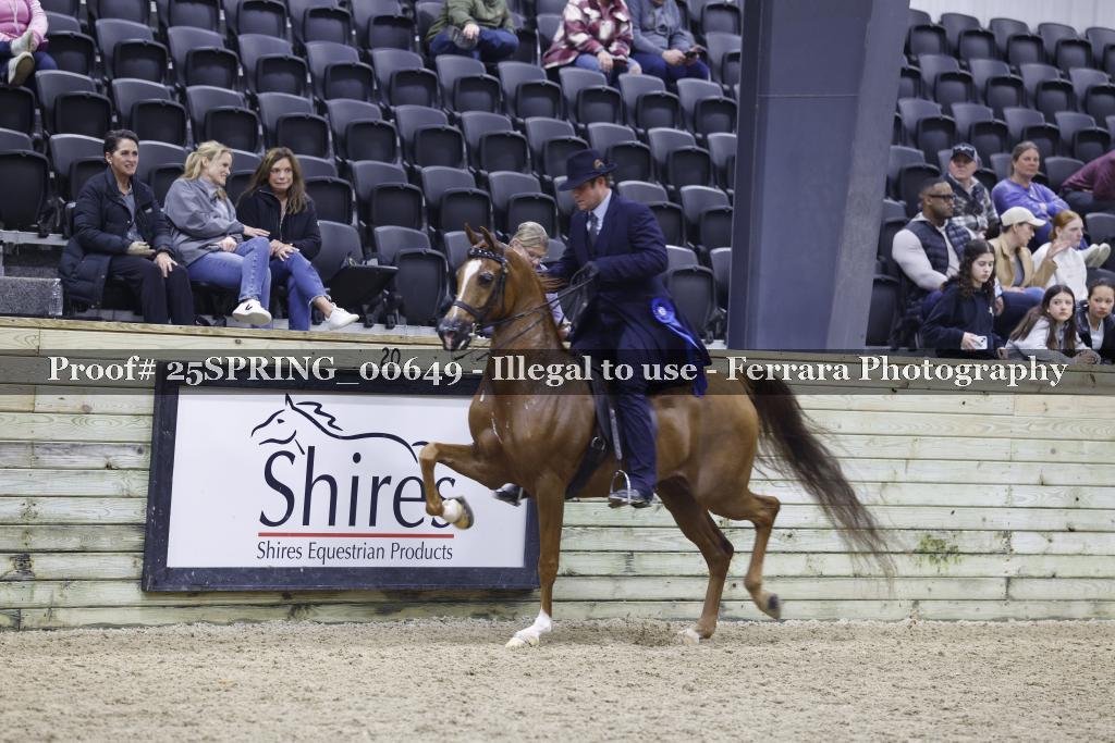 Proof 25SPRING_00649