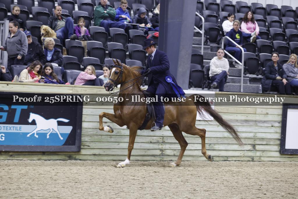 Proof 25SPRING_00650