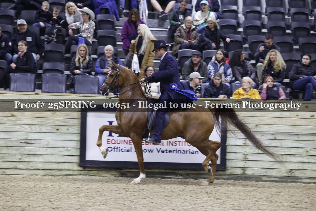 Proof 25SPRING_00651