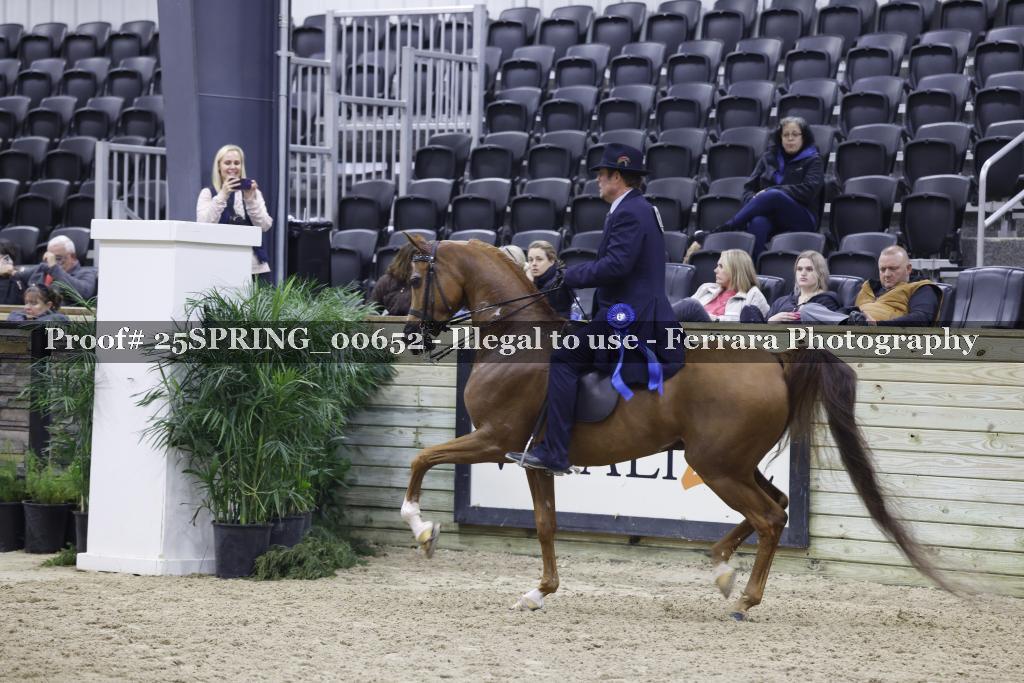 Proof 25SPRING_00652