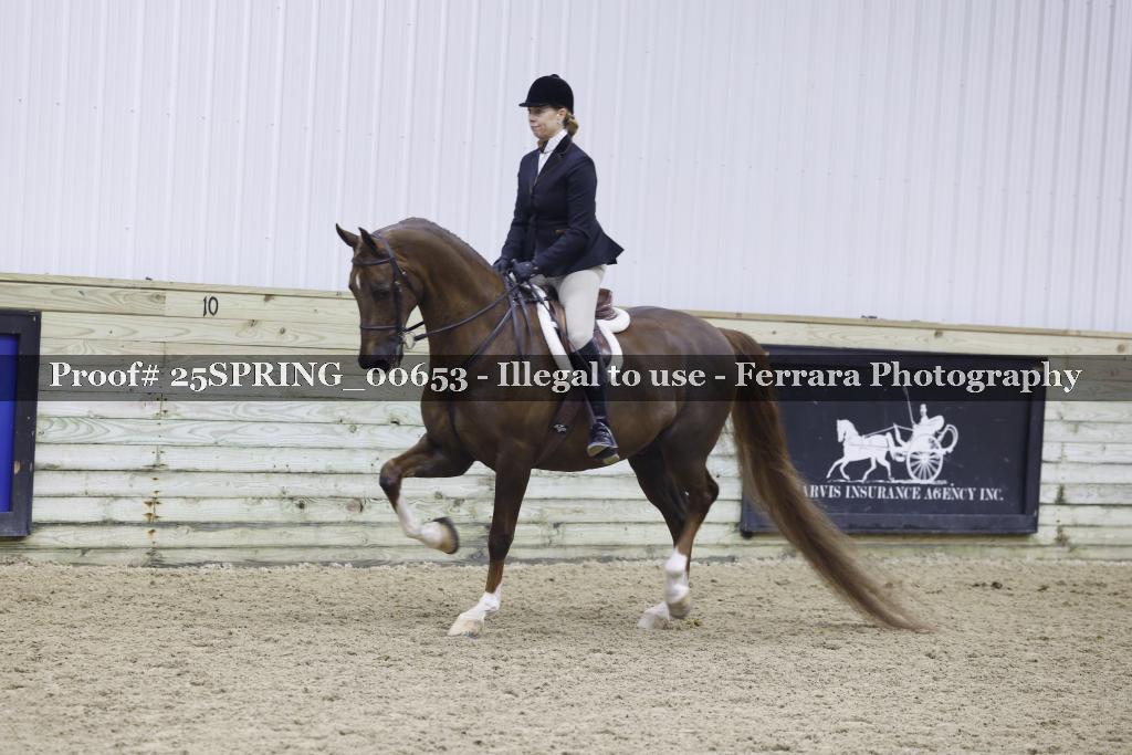 Proof 25SPRING_00653