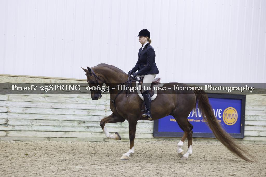 Proof 25SPRING_00654