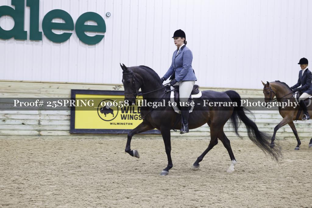 Proof 25SPRING_00658