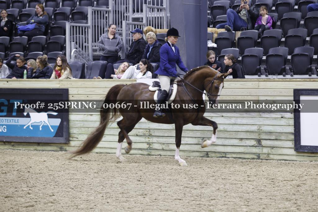 Proof 25SPRING_00667