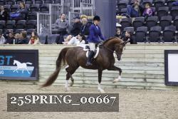 25SPRING_00667 proof
