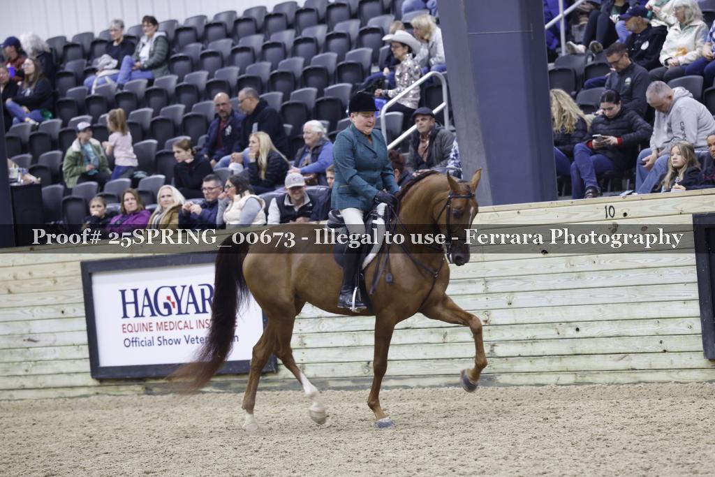 Proof 25SPRING_00673