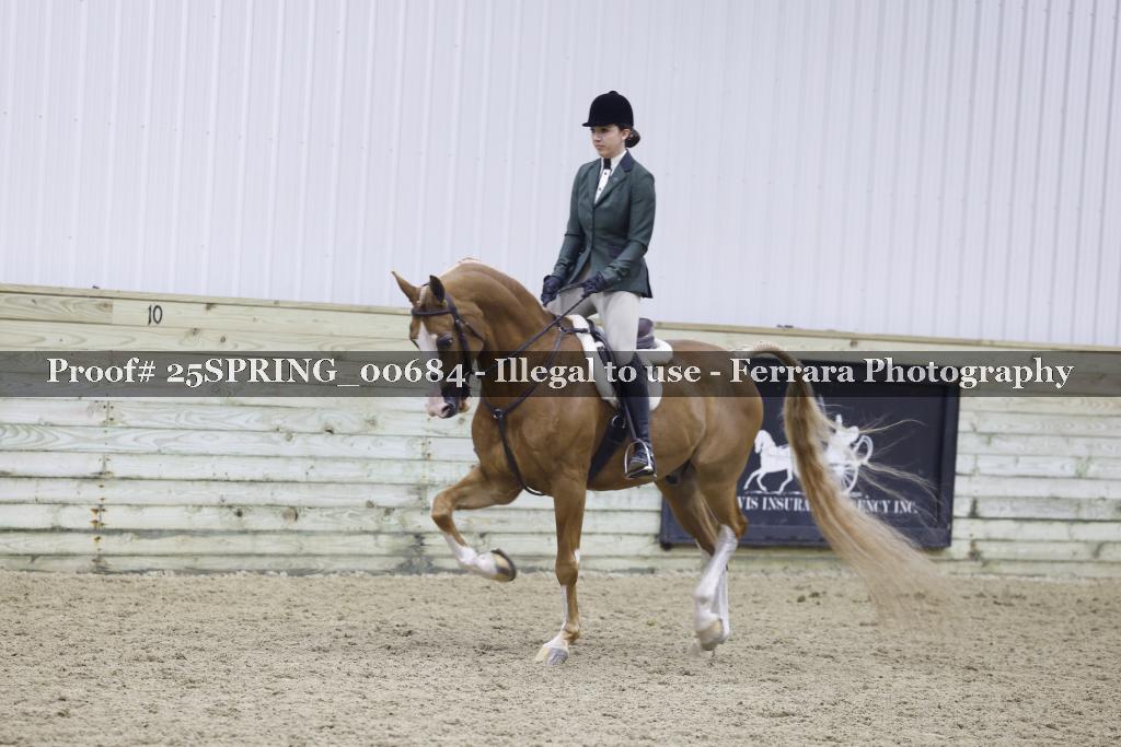 Proof 25SPRING_00684