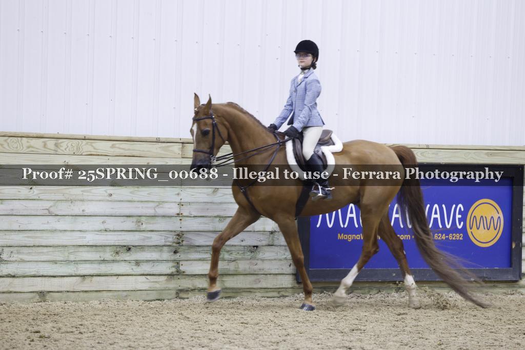 Proof 25SPRING_00688