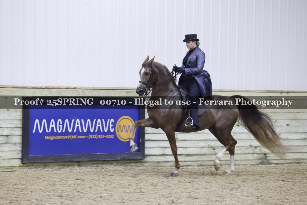 Proof 25SPRING_00710