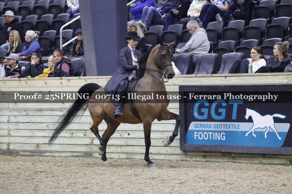 Proof 25SPRING_00713