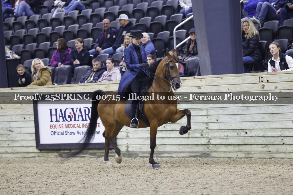 Proof 25SPRING_00715