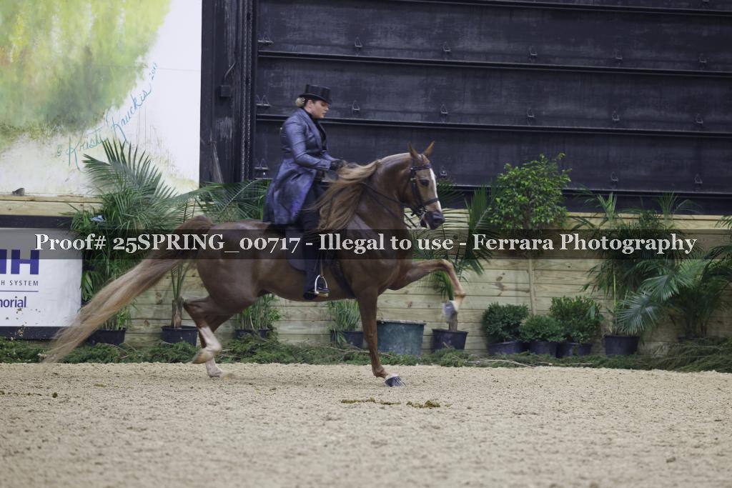 Proof 25SPRING_00717