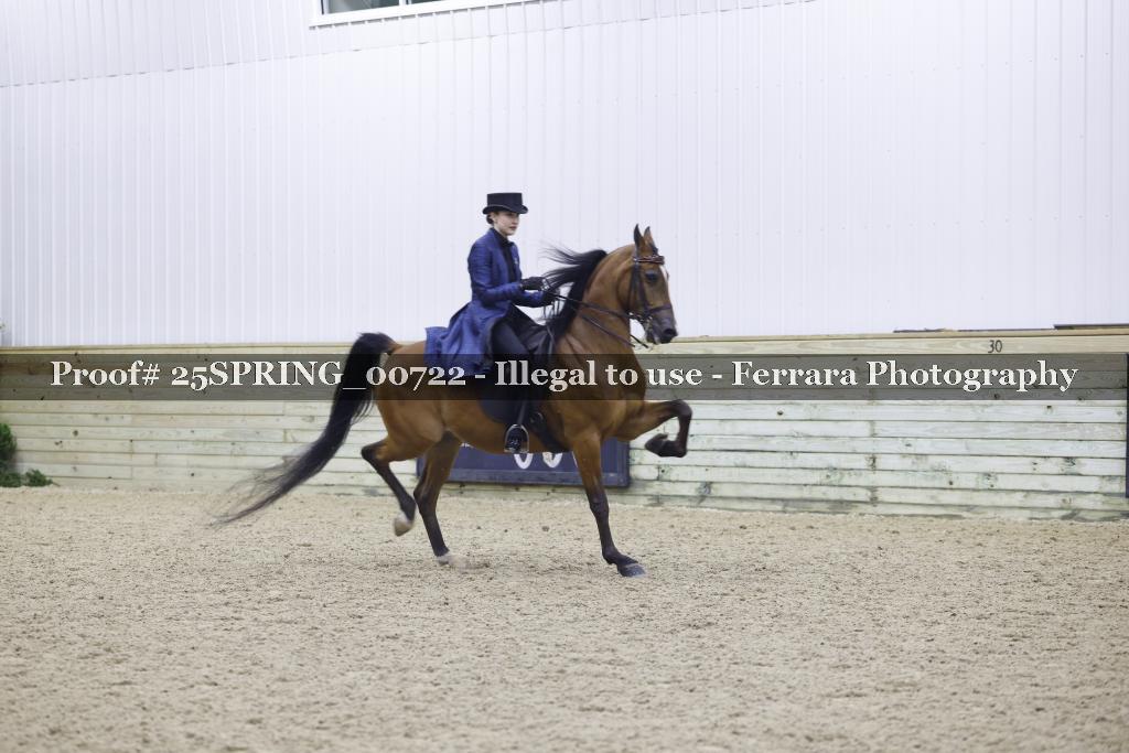Proof 25SPRING_00722