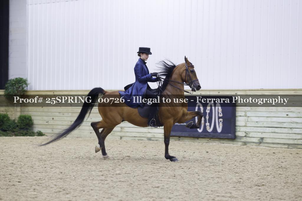 Proof 25SPRING_00726