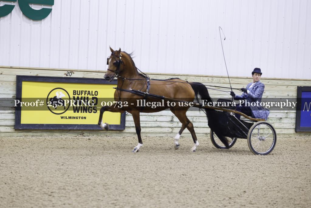 Proof 25SPRING_00732