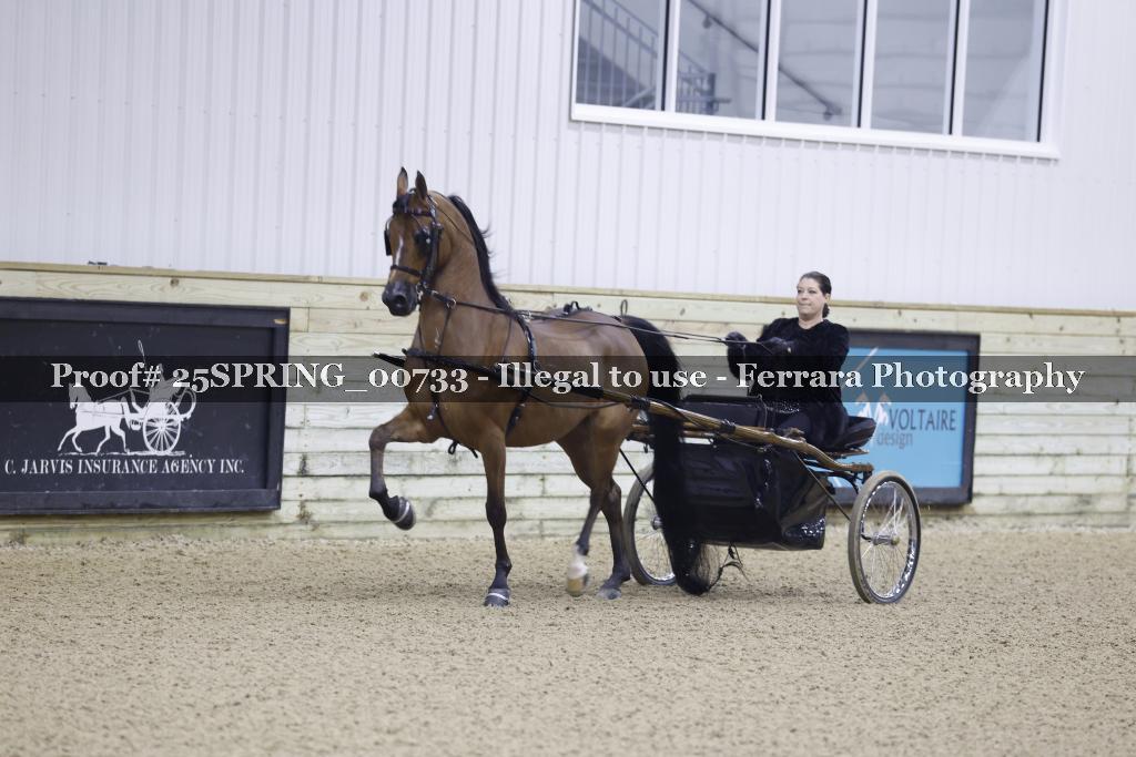 Proof 25SPRING_00733