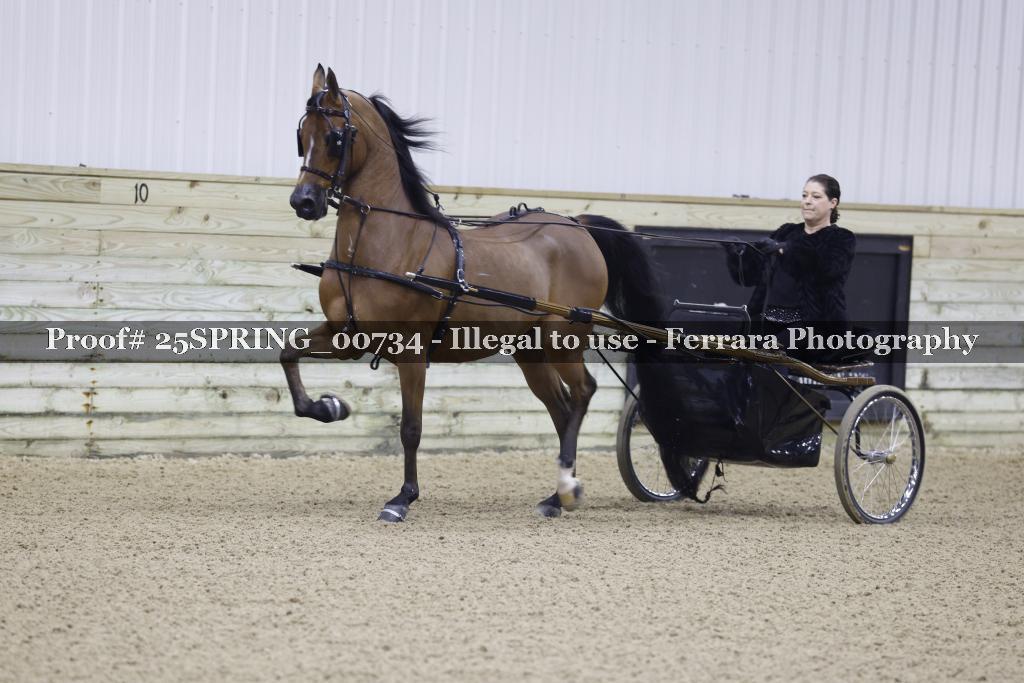 Proof 25SPRING_00734