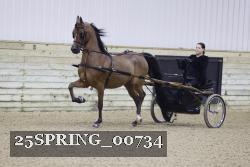 25SPRING_00734 proof