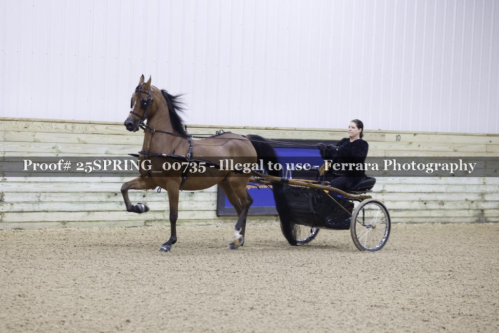 Proof 25SPRING_00735