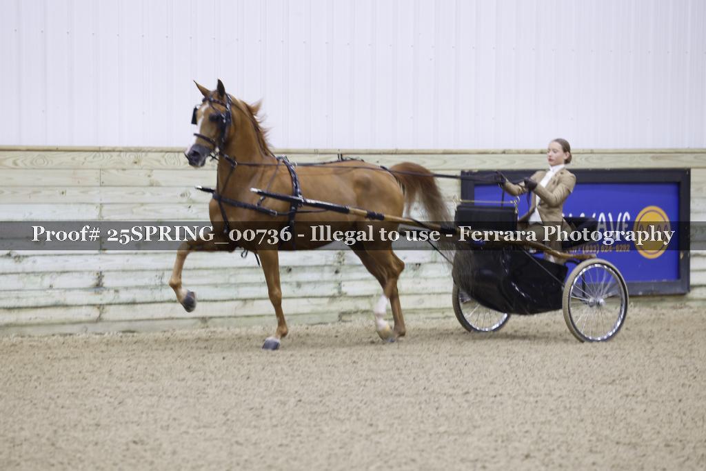 Proof 25SPRING_00736