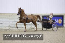 25SPRING_00736 proof