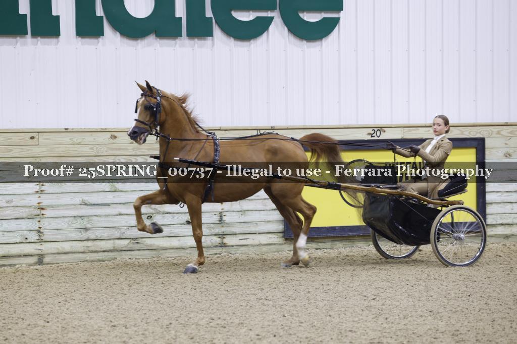 Proof 25SPRING_00737