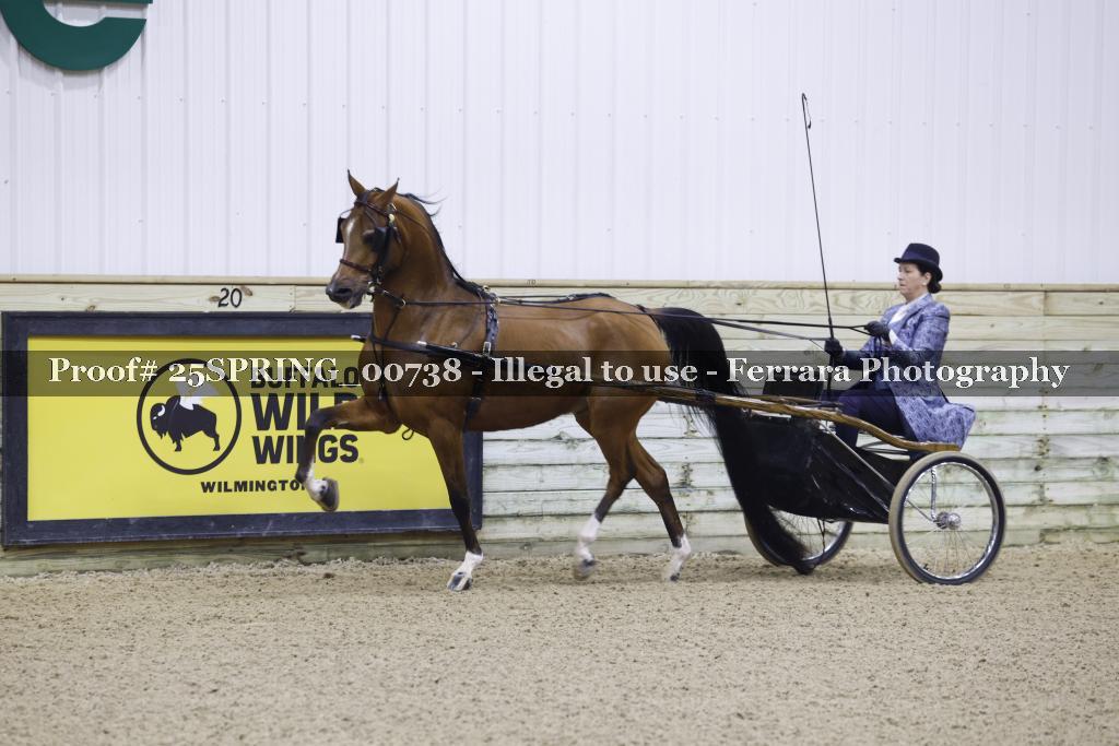 Proof 25SPRING_00738