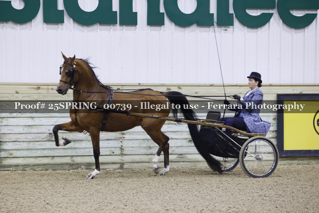 Proof 25SPRING_00739