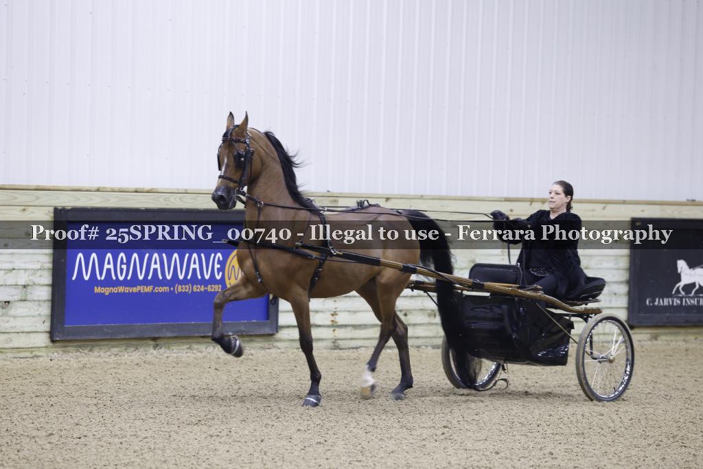 Proof 25SPRING_00740