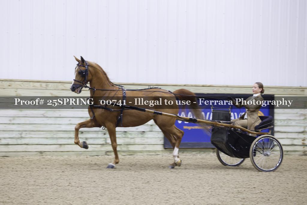 Proof 25SPRING_00741