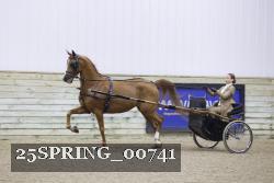 25SPRING_00741 proof