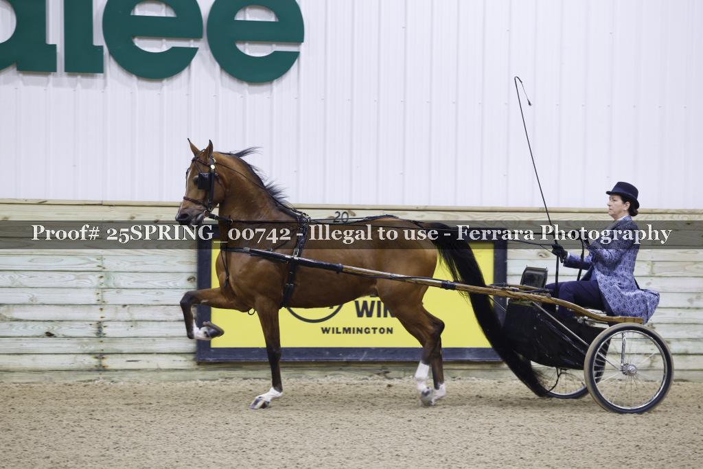 Proof 25SPRING_00742