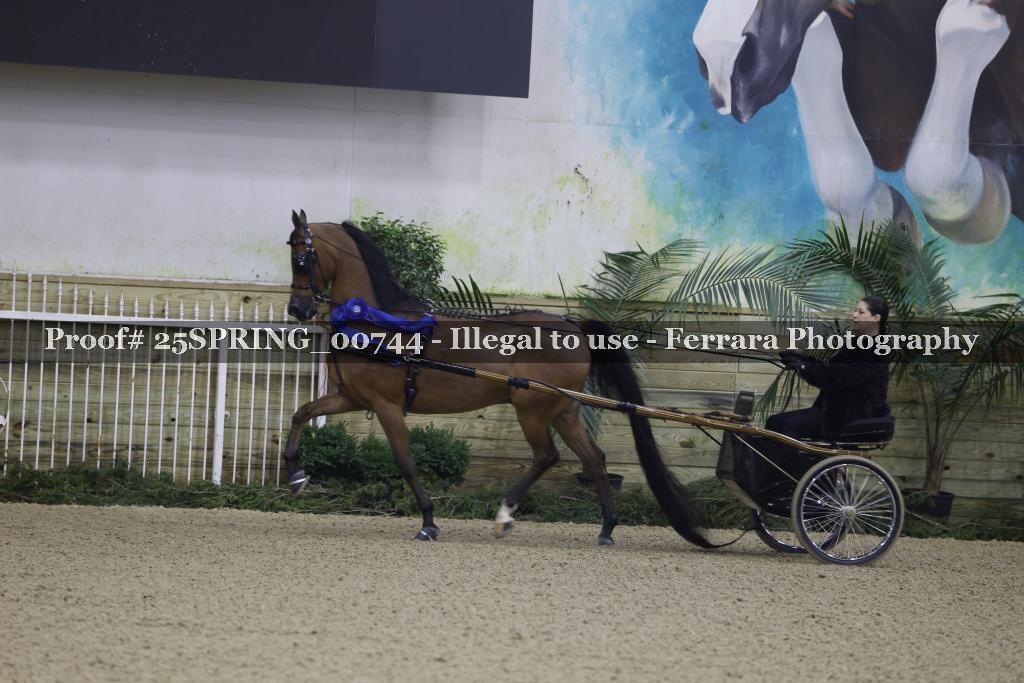 Proof 25SPRING_00744