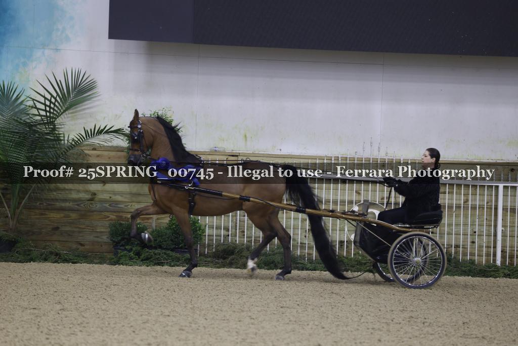 Proof 25SPRING_00745