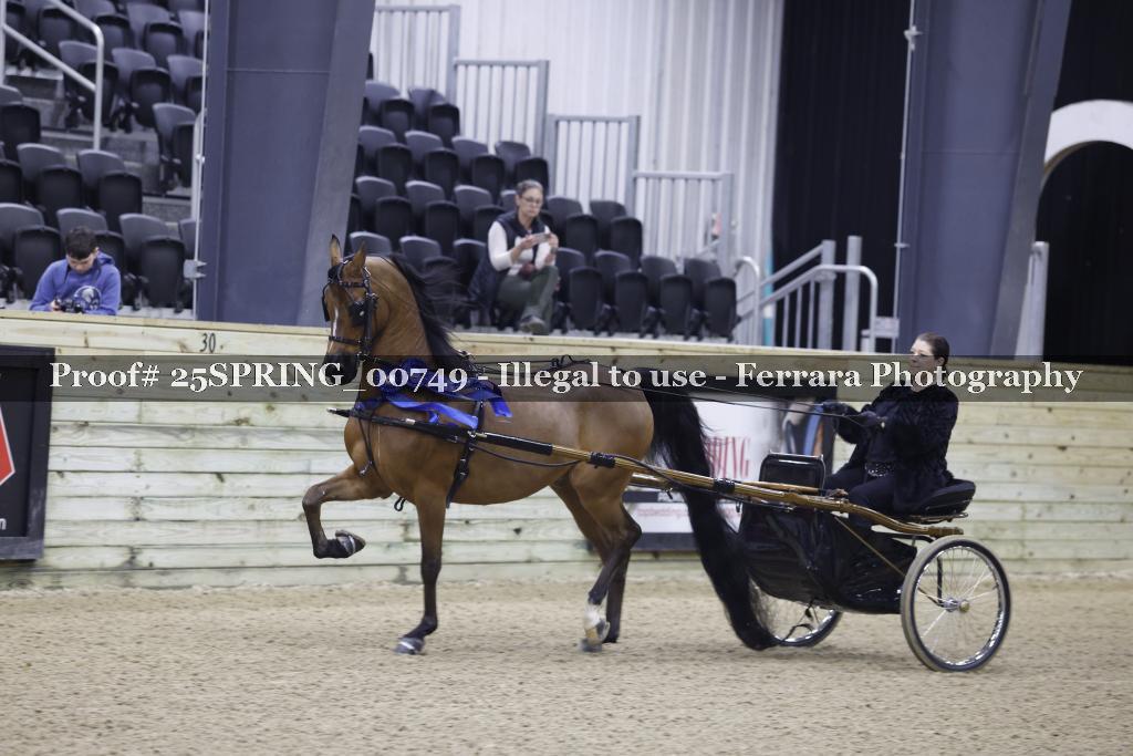Proof 25SPRING_00749