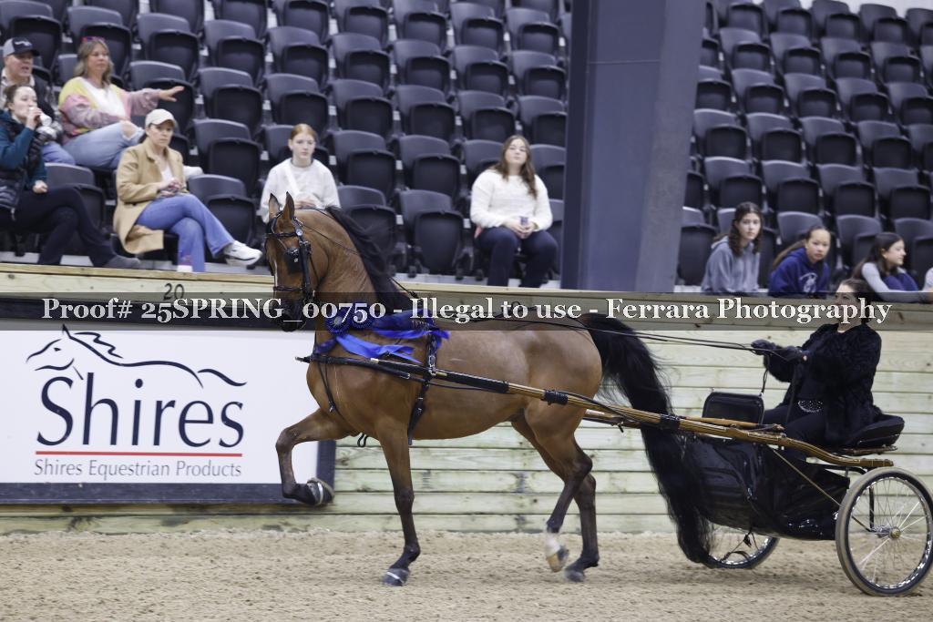 Proof 25SPRING_00750