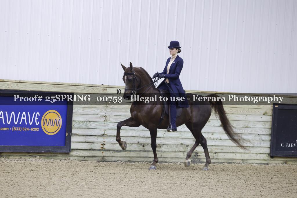 Proof 25SPRING_00753