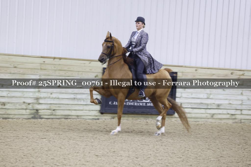 Proof 25SPRING_00761