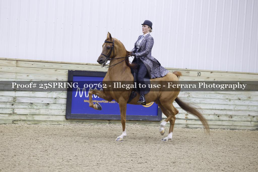 Proof 25SPRING_00762