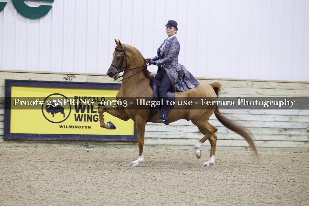 Proof 25SPRING_00763