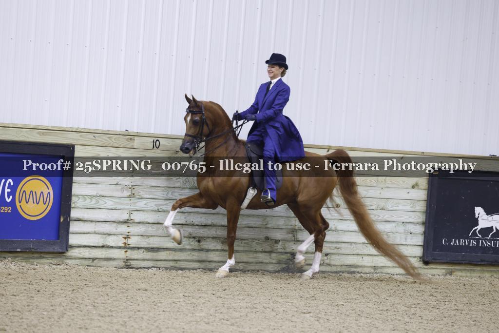 Proof 25SPRING_00765